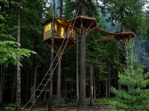 unbelievable tree houses  pining  dwell