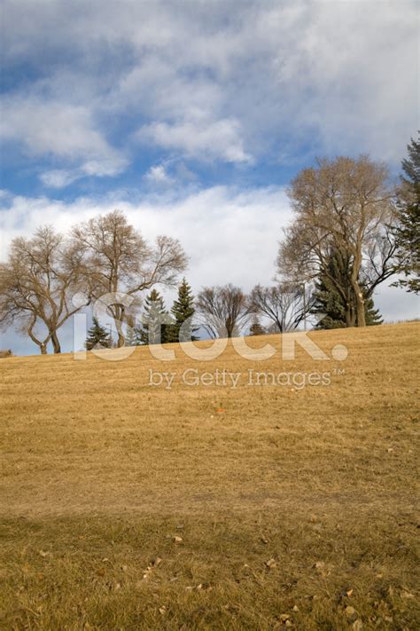 grassy knoll stock photo royalty  freeimages