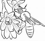 Nectar Designlooter Bumblebee sketch template