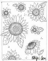 Coloring Sunflower Pages Kansas Cool Adults Printable Color Sunflowers Sheets Drawing Lou Skip Skiptomylou Easy Adult Kids Designs Pattern Detailed sketch template