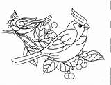 Coloring Bird Pages sketch template