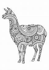 Lama Lamas Erwachsene Malbuch Adultos Llamas Joli Justcolor sketch template