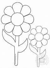 Small Big Flowers Coloring Daisy Templates Flowerstemplates sketch template