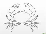 Granchio Colorare Disegnare Crab Disegni Px sketch template