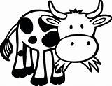 Cow Pages Outline Coloring Grass Printable Eating Funny Farm Animal Cows Cartoon Kids Baby Animals Cute Face Categories Valentines Adult sketch template