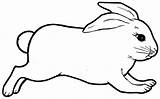 Rabbit Bunny Outline Coloring Template Pages Animal Jumping Drawing Templates Colouring Printable Rabbits Realistic Print Clipart Bunnies Baby Cute Real sketch template