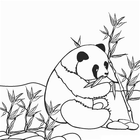 top  printable panda coloring pages  coloring pages