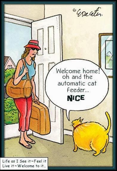 World S Funniest Cat Cartoons ~ Silly Bunt