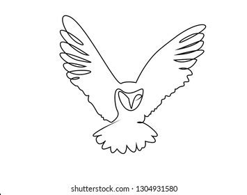 owl   images stock  vectors shutterstock