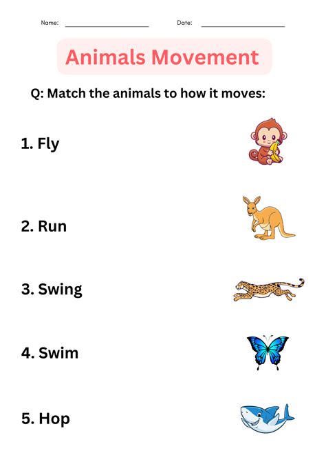 preschool movements  animals worksheets  kindergarten teaching