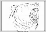 Coloring Grizzly Bear Bears Abcworksheet Marked sketch template