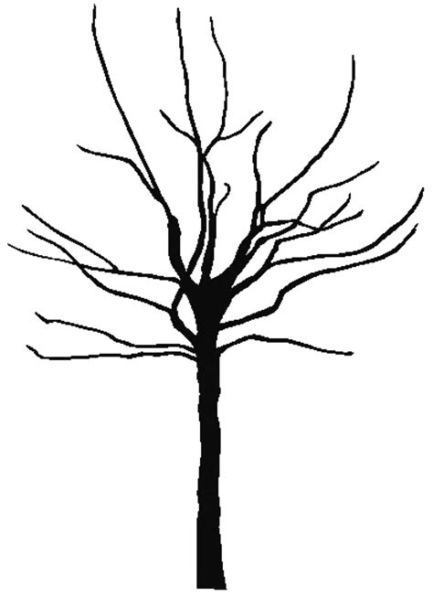 tree outline printable clipart