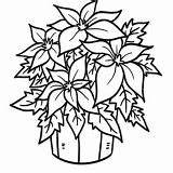 Poinsettia Coloring Pottery Bucket sketch template