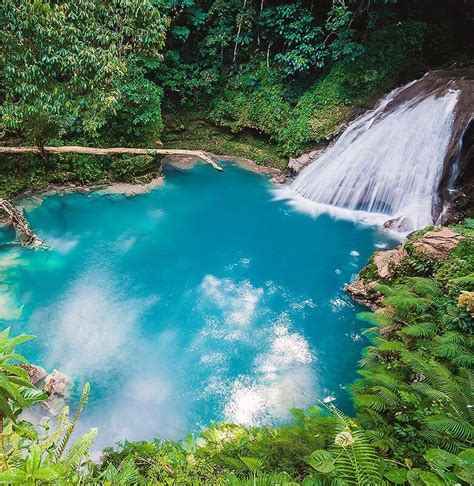 amazing waterfalls  ocho rios  jamaica beautiful islands attractions  jamaica