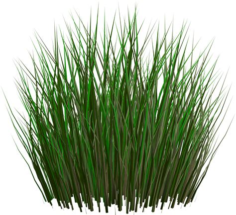 grass png image green grass png picture hq png image freepngimg