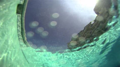 360 Degree Underwater Gopro Panning Timelapse Test Youtube
