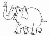 Elephant éléphant Coloriage Girafe Coloringhome sketch template