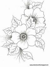 Flower Dogwood Coloring Pages Sketch sketch template