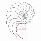 Espiral Fibonacci Geometria Espirales Geometría Grafico Cuadrado sketch template