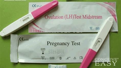 can an ovulation kit be used as pregnancy test conceiveeasy