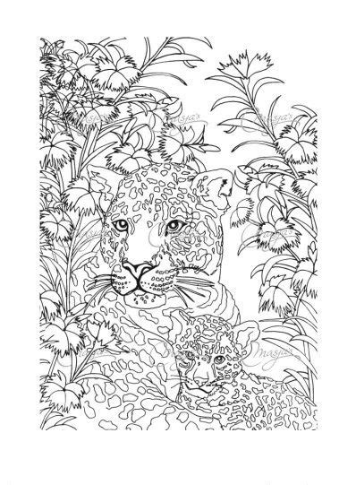 jaguar animal coloring pages coloring pages colouring pages