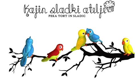 colorful birds sitting  top   tree branch   words pagin shadi al