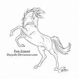 Rearing Lineart Darya87 Horse Sketches sketch template