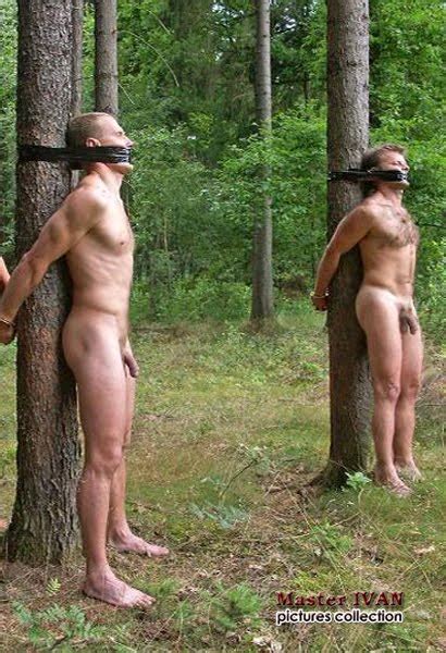 Hot Naked Men Forest