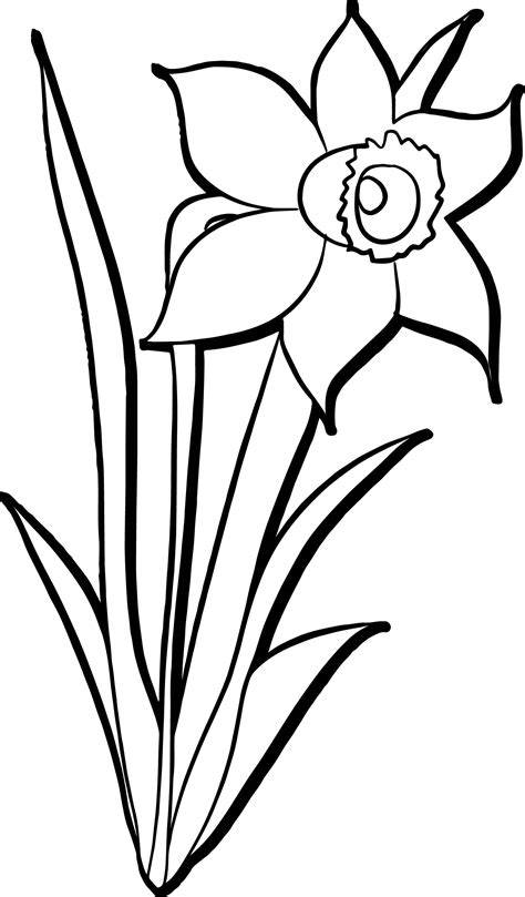 flowers coloring pages coloring pages kids