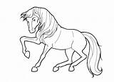 Cavallo Stallion Cimarron Getcolorings sketch template
