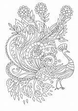 Colorat Desene Adulti Planse Flori Plansa Imagini Animale Primavara Paun Desen Zentangle раскраска sketch template