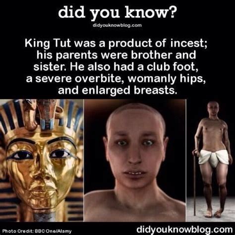 King Tut Ifk How Accurate The Product Pf Insest Was Unless The Minor