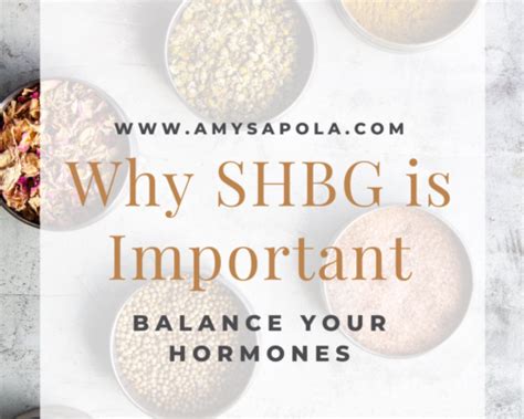 why shbg is important functional and integrative medicine amy sapola