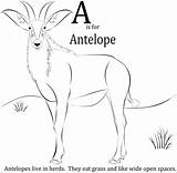 Coloring Antelope Alphabet Children Pages Getcolorings Coloringbay Getdrawings Printable sketch template