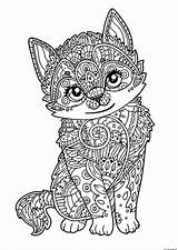 Coloring Cat Zentangle Adult Pages Cute Printable sketch template