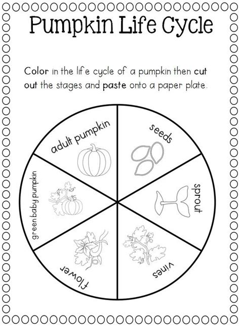 pumpkin life cycle craft  poster httpwwwteacherspayteacherscom