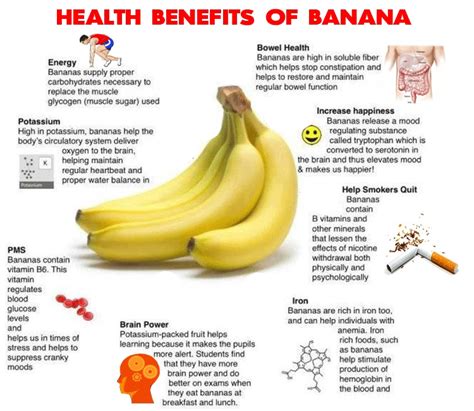 Is Banana A Weight Gain Or A Weight Loss Fruit The Answer May Surprise