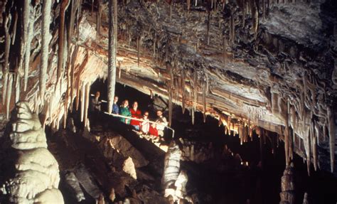 glenwood caverns adventure park celebrates  anniversary
