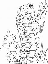 Caterpillar Orugas Chenille Satisfying Oruga Hunger Insect 10dibujos Colorier Designlooter Coloringbay Bestcoloringpages sketch template