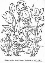 Flori Colorat Desene Colorir Planse Crocus Kwiaty Kolorowanki Desenhos Wiosenne Plante Relier Coloriages Elf Chomikuj Zentangle Visitar sketch template
