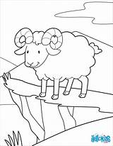 Ram Coloring Pages Farm Cute Color Animals Adult Hellokids Results Adventurer Choose Board sketch template