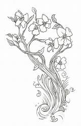 Blossom Cherry Tree Drawing Outline Tattoo Coloring Pages Flower Drawings Peach Deviantart Branch Japanese Flowers Wallpaper Getdrawings Draw Chinese Paintingvalley sketch template