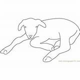 Lamb Coloring Pages Coloringpages101 sketch template