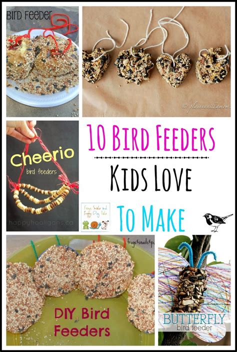 bird feeders kids love   fspdt bird feeders diy bird