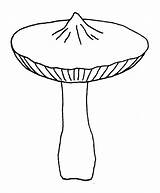 Fungi Drawing Clipartmag Fungus Coloring sketch template