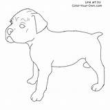 Boxer Puppy Coloring Color Dog Pages Own Drawings sketch template