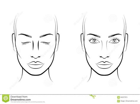 Beautiful Woman Portrait Face Chart Vector Illustration Cartoon