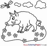 Coloring Boar Colouring Printable Kids Pages Farm Sheets Hits Sheet Title Coloringpagesfree sketch template