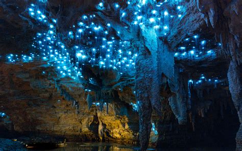 footwhistle glowworm cave caveworld  reservations
