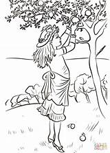 Picking Coloring Apple Pages Apples Girl Tree Drawing Orchard Printable Color Woman Getcolorings Under Colori Print Getdrawings Search Categories sketch template